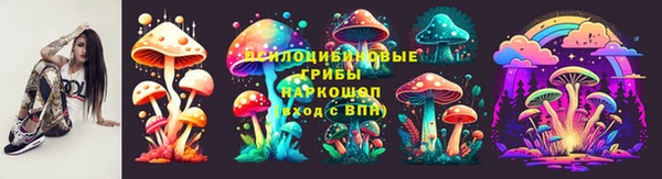 спиды Осинники