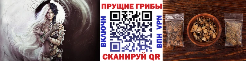 ссылка на мегу онион  Ладушкин  Галлюциногенные грибы Magic Shrooms  купить наркотик 